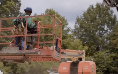 How to Improve Your Safety Standards Compliance: A Comprehensive Guide